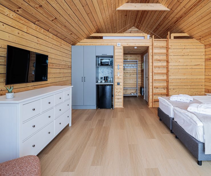 Барн Стандарт